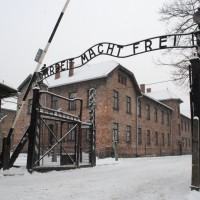 'Se questo è un uomo': per non dimenticare gli orrori dell'Olocausto
