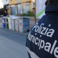 Reggio, tre giorni di controllo della Polizia Municipale: denunce e sequestri