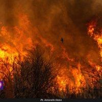 Incendi, un’altra vittima nel reggino: tentava di salvare gli animali dalle fiamme