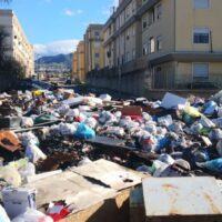 Caos rifiuti a Reggio, tornano i cassonetti in città. Brunetti: ‘A breve il nuovo piano’