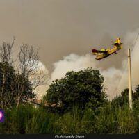 Report incendi, Spirlì: ’59 roghi attivi in Calabria’