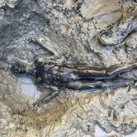 San Casciano come Riace: dall’acqua riemergono 24 statue bronzee