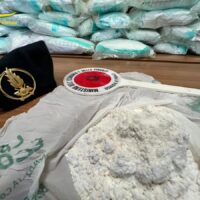 ‘Ndrangheta reggina e crotonese, così si spostava la droga dal Sud America in Europa