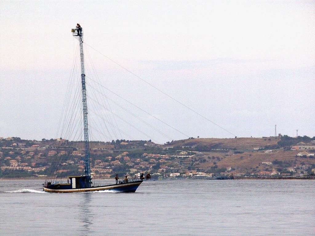 Barca Pescespada