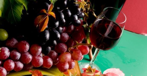 Il vino biologico calabrese al Tuttofood di Milano