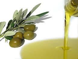 Al Parco Ecolandia il workshop conclusivo del progetto “Olio-più”