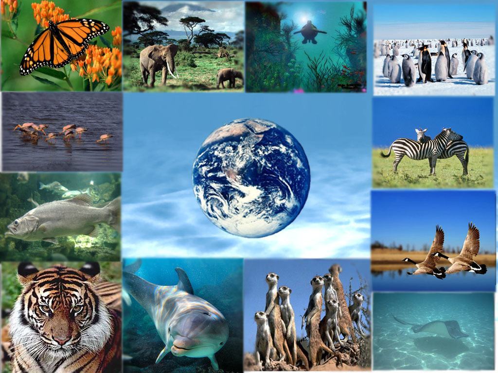 La Villa Comunale ospita gli eventi della “Giornata della Biodiversità”