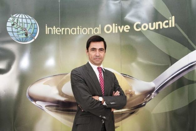 Al via il progetto Olio-Più. Parte dalla Calabria la rivoluzione della filiera olivicola