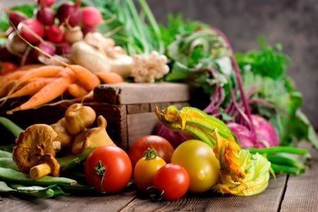 Al via il corso formativo per la conservazione della biodiversità agroalimentare calabrese