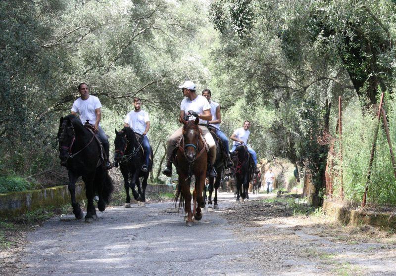 Grande successo per il 1° Raduno Equestre Città di Oppido Mamertina