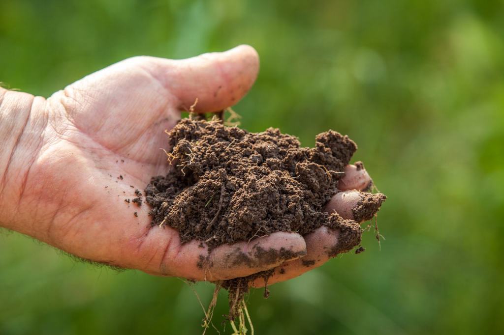 Coldiretti Calabria: dal Brennero all’Expo per difendere l’agricoltura e l’agroalimentare