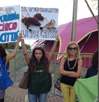 Presidio pacifico: manifestazione contro il circo a Reggio Calabria