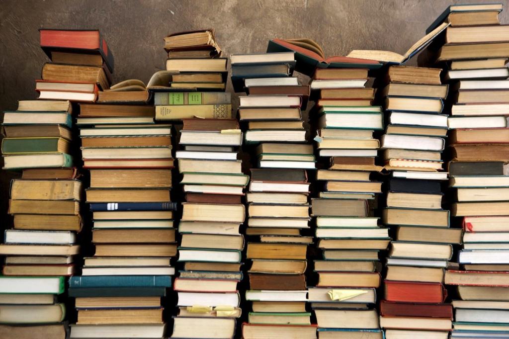 Domani a S.Caterina l’inaugurazione del “Bibliobus – Biblioteca Itinerante della Città di Reggio Calabria”