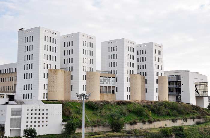 università mediterranea