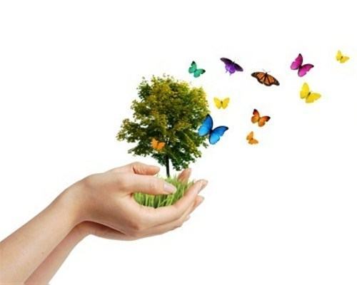 LA PROFESSIONE DI PEDAGOGISTA CLINICO: Corsi in tutta Italia