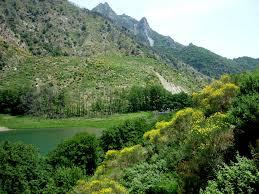 Continua l’attività di ripristino della naturalità del Parco Nazionale dell’Aspromonte
