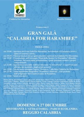 bozza locandina gran galà calabria for harambee-001
