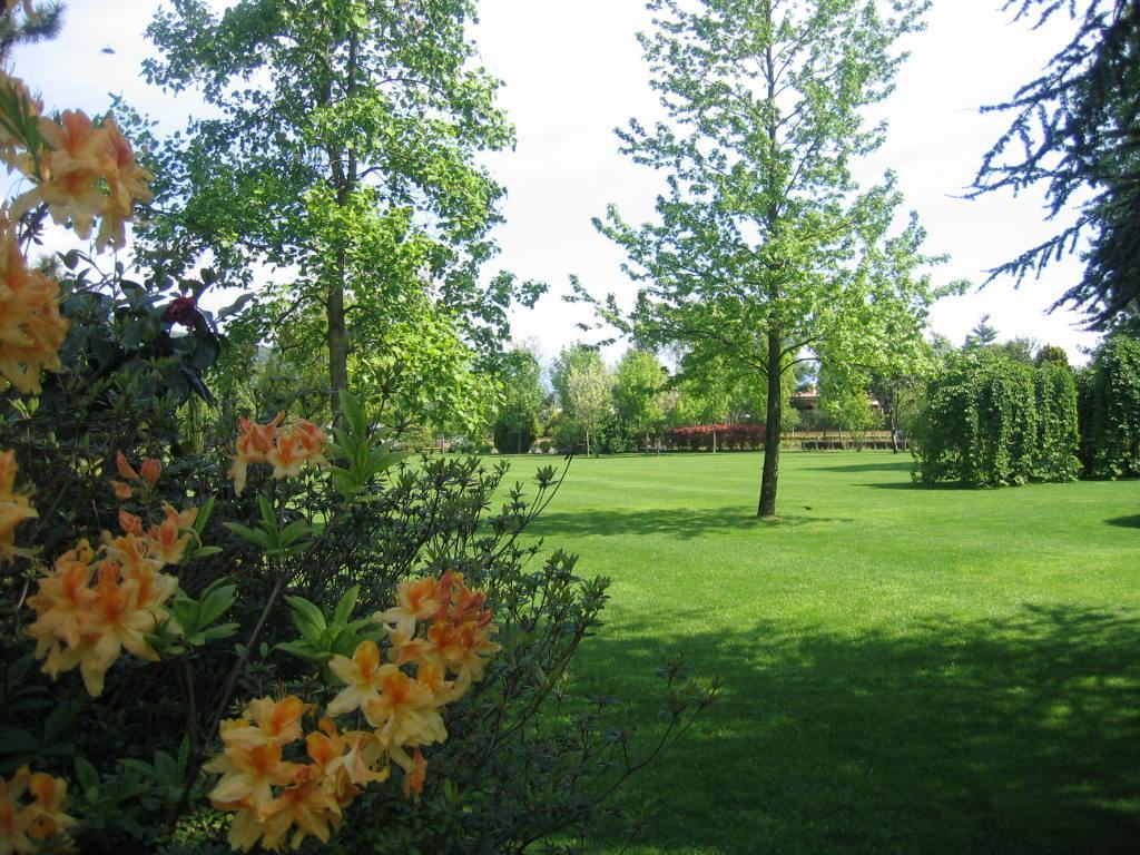 Alla biblioteca De Nava un convegno sulla bellezza del verde in città