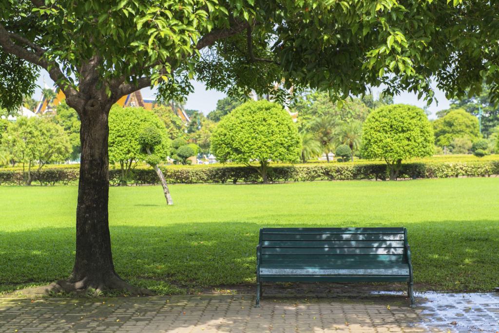 Panchina in un parco: il progetto Adotta il verde a Reggio Calabria