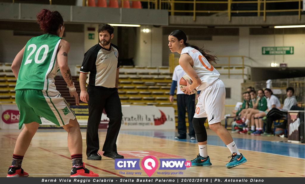 Viola F Palermo Copia