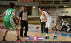 Viola F Palermo Copia