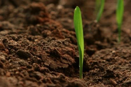 Ad Agraria la presentazione di “Il cuore e la terra”