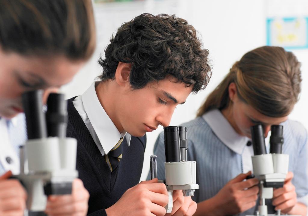 Studenti del liceo Rechichi di Polistena impegnati nell'alternanza scuola-lavoro