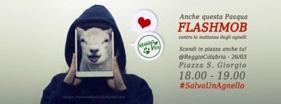 flasch