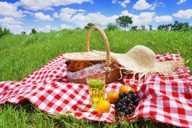 Coldiretti: l’ospitalità in campagna offre attività culturali