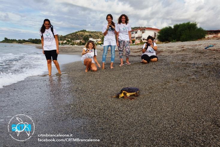 In Calabria campi estivi per la tutela di due specie in pericolo: la tartaruga marina e il lupo appenninico – FOTO