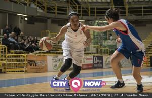 Viola Rainbow Catania