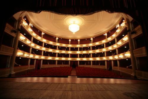 “Il Re Leone” di Compagnia delle Alghe al Teatro Rendano