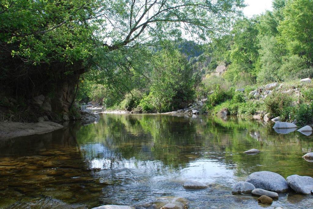 Parco della Sila: sostegno delle Istituzioni per la candidatura Unesco