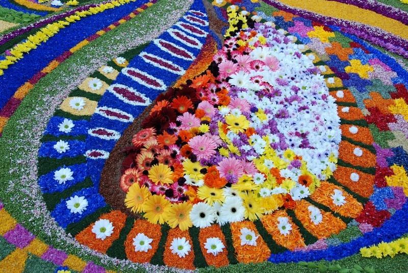Dal 3 al 5 giugno la prima edizione de “Noto InfioraTA…URIANOVA”