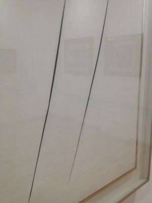 foto 2 (2)