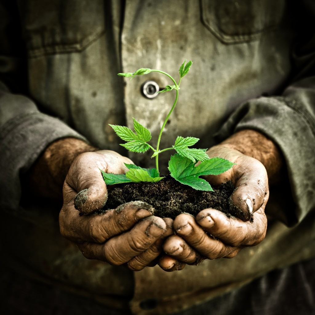 “Giornata mondiale della Biodiversità” dedicata alla tutela della Villa Comunale Umberto I