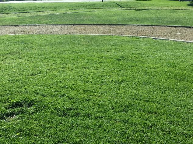 Il Parco di Largo Botteghelle a Reggio Calabria