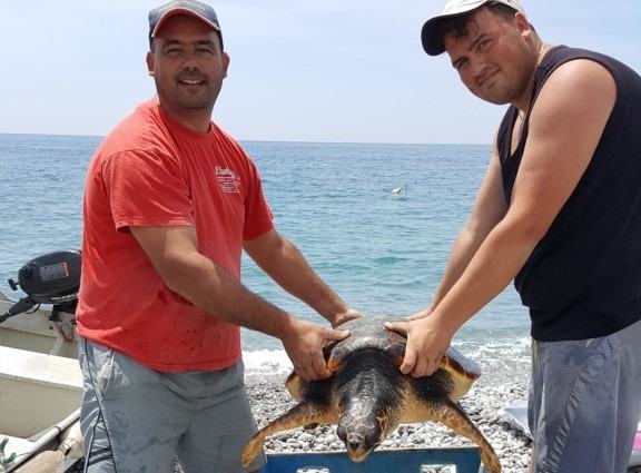 Pescatori di Bova Marina salvano grossa tartaruga