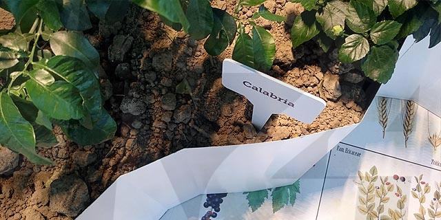 Coldiretti Calabria: è il momento per rilanciare una terra meravigliosa