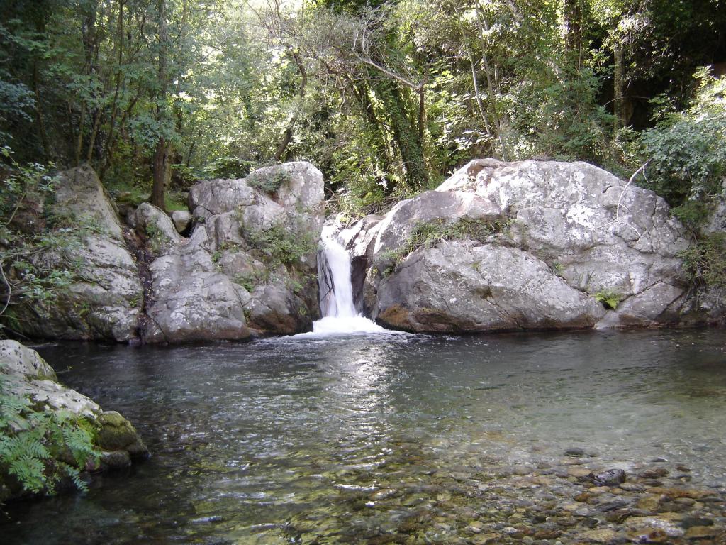 Riserva naturale Valli Cupe, l’appello di Legambiente Calabria alla Regione