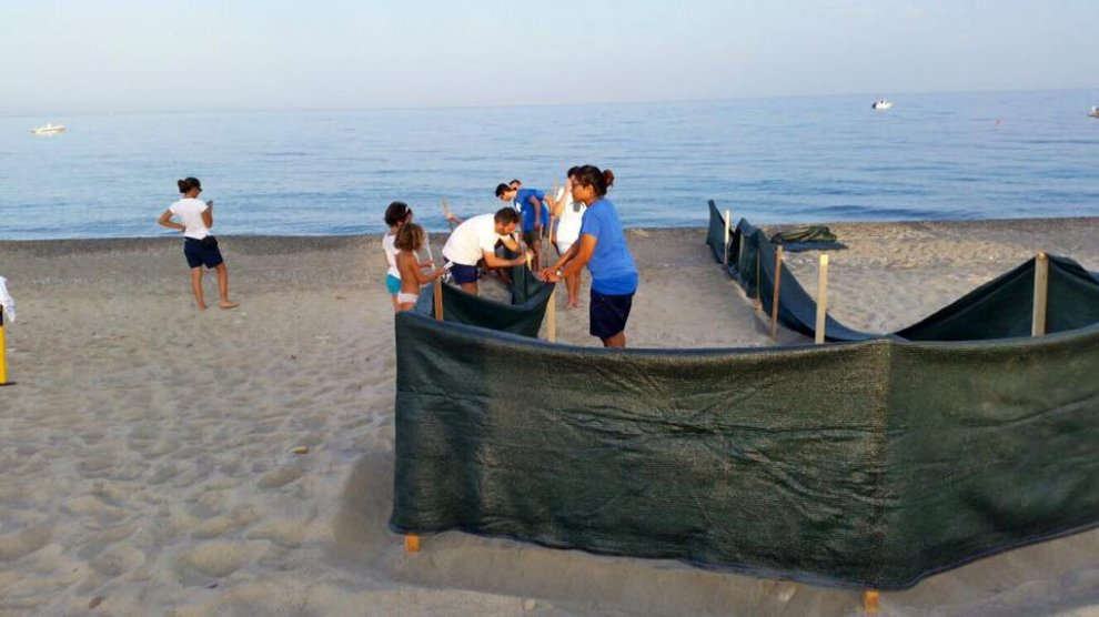 In Calabria la prima schiusa di Tartaruga marina. ‘La prossima aperta al pubblico’