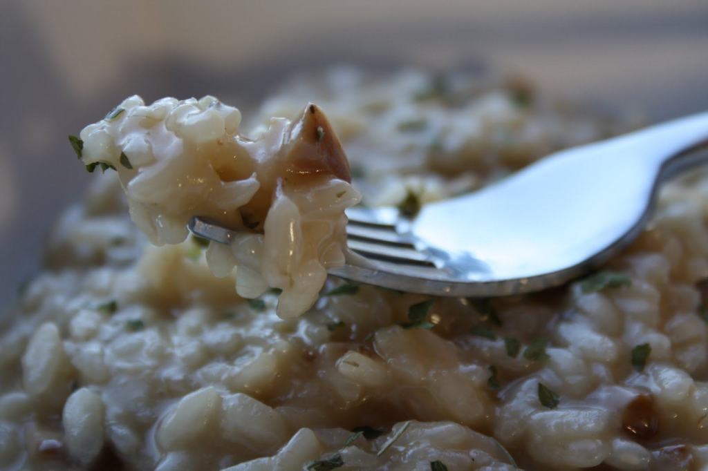 Autunno alle porte: ecco come si prepara il Risotto ai funghi porcini