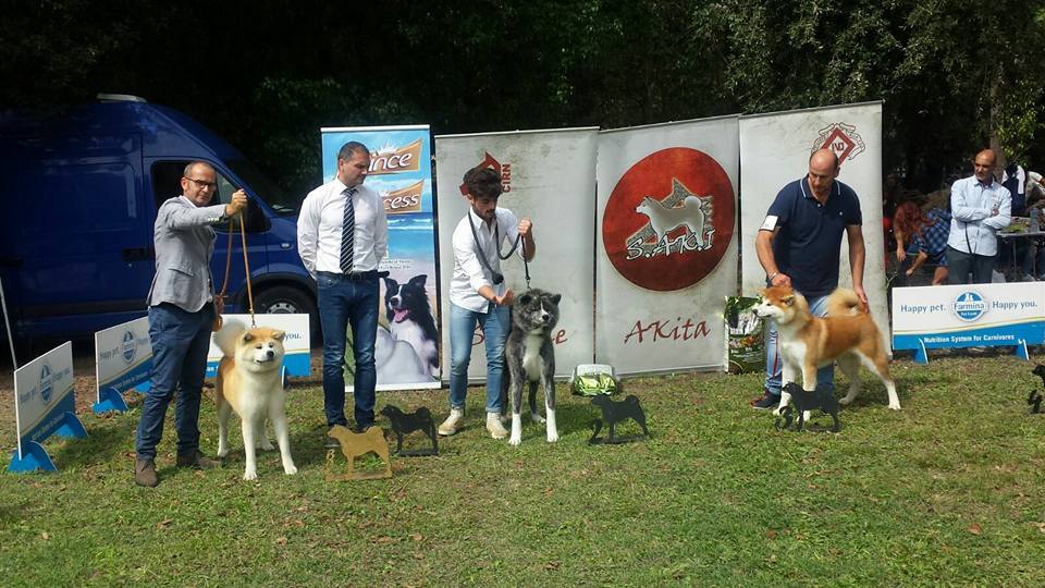 V Expo Nazionale Canina a Crotone
