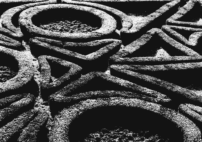 Inaugurata la mostra di Kreszenzia Gehrer “Rizomata”