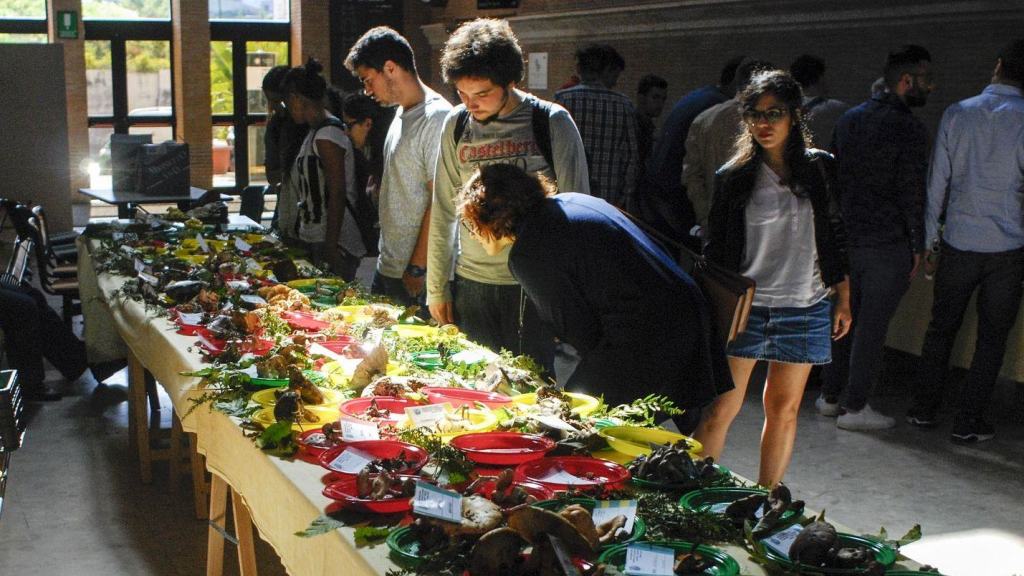 Grande successo della III ed. delle “Giornate micologiche”