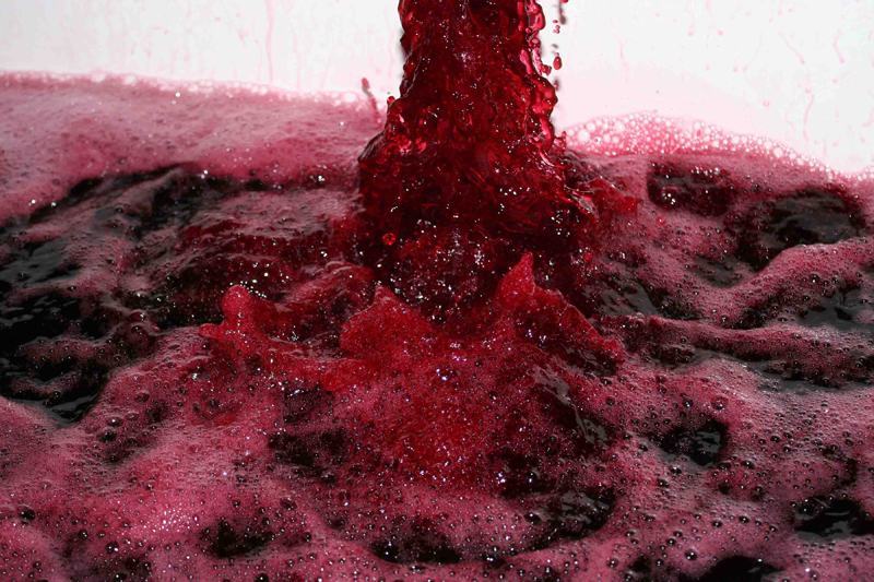 “Cirò Città del Vino 2016“, l’evento con una fontana…di vino