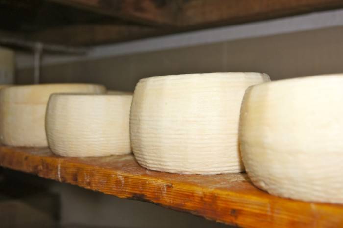 Calabria protagonista al Festival del formaggio ‘Cheese’