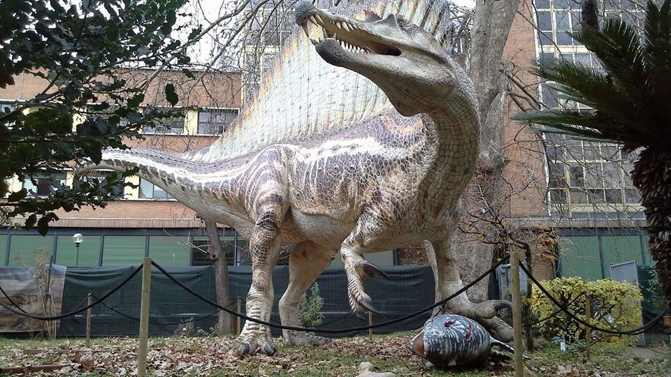 Boom di visite, prorogata in Calabria la mostra ‘Dinosauri in carne e ossa’