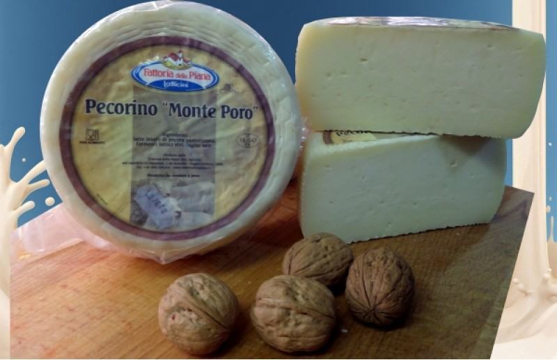 Il pecorino calabrese del Monte Poro verso il marchio Dop