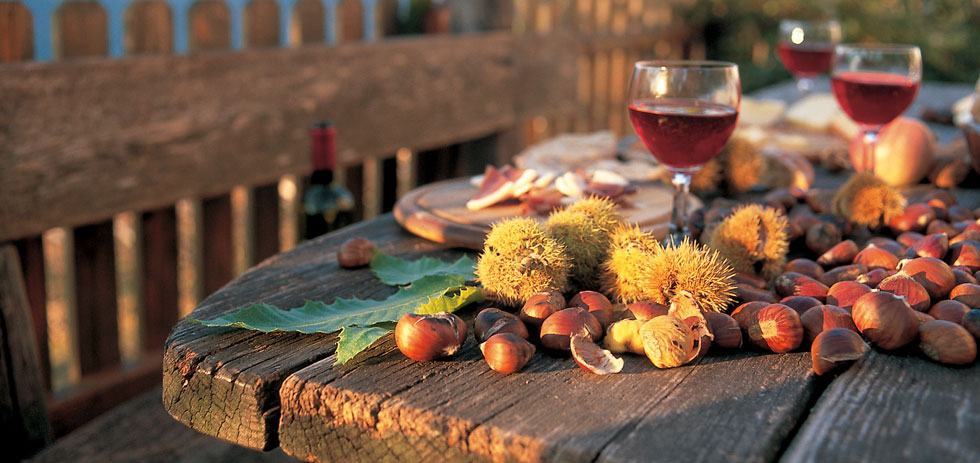 Vino Novello 2016, al via la commercializzazione